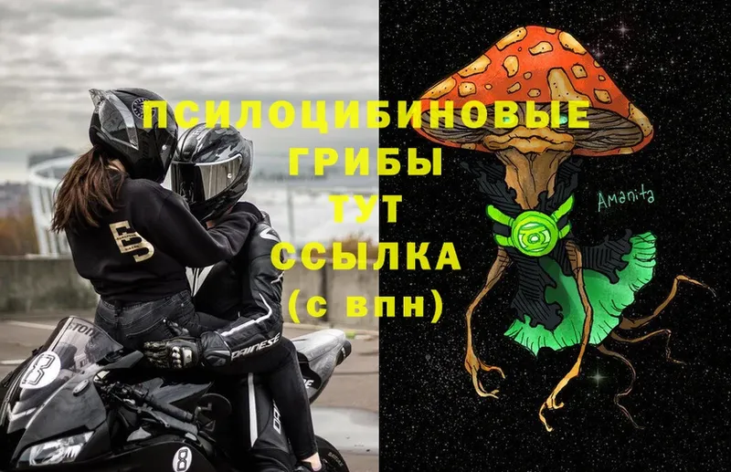 Галлюциногенные грибы Magic Shrooms  Коломна 